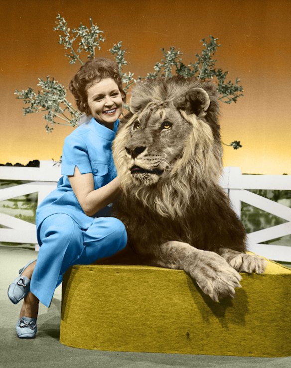 Actress and animal activist Betty White with a lion from her 1970s series "The Pet Set." The restored 39-episode series, renamed "Betty White's Pet Set" features celebrity guests Mary Tyler Moore, Carol Burnett, Burt Reynolds, James Brolin and Della Reese. 