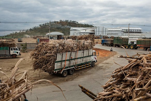 Sugar plantation. Omliang, Kampong Speu, Cambodia.