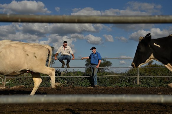 Dairy farmer Brad Smith (left) and one of his employees Lachlan White (right) during milking on Goroka Dairy. Brad's family have leased Goroka Dairy from Dartbrook Mine near Aberdeen, for the past 20 years and Brad has managed it for the past 10 years. Brad employees several people all under the age of 30 and believes in supporting young people in agriculture. These are issues of concern for him in the upcoming Upper Hunter by-election and who he will vote for.