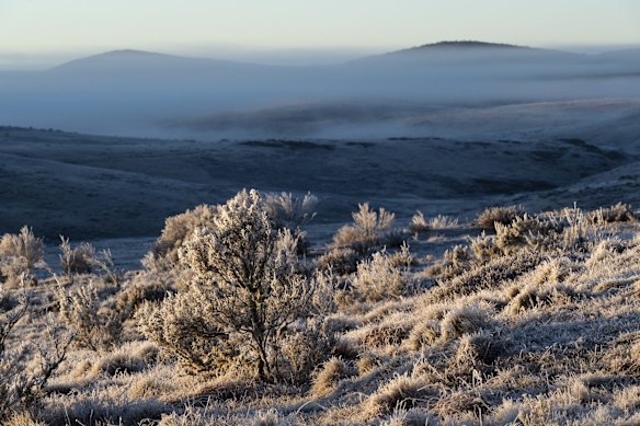 The tiniest change in humidity, temperature or wind speed can create wildly different frost results. For this level of frost, the temperature has to drop beneath ten degrees and, on this occasion, it hadn't rained for several days.