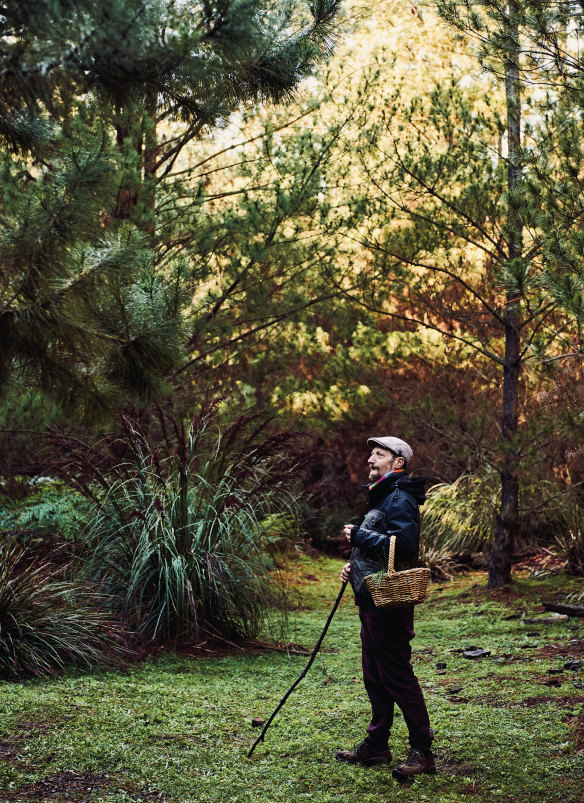 Bonetto also runs mushroom foraging workshops.