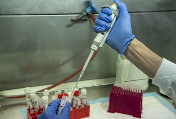 A sample is placed into a storage tube.