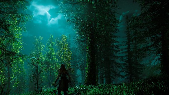 The moon's casts a very different kind of light on the land than the sun does.