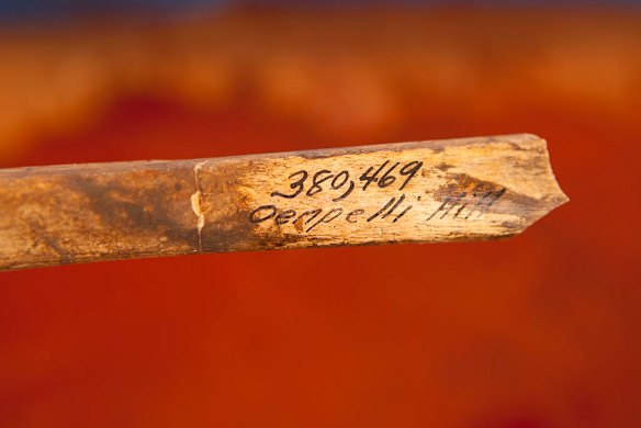 July 19th 2011, A human bone bears the name of the place from where it was taken ,and it's cataloug number as human remains are finally reurned to their ancestral home in Gunbalanya for ceremonial reburial after over 60 years in the posession of the Smithsonian Institution after being collected during a combined Australian and American expedition to Arnhem Land in 1948.