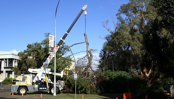 Clean up begins after massive Sydney storm