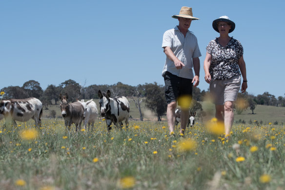 Arnold and Marchien Dekker own a hobby farm in the proposed 5km buffer zone where the Yass council wants to freeze all development. They have set aside a large section for native revegitation