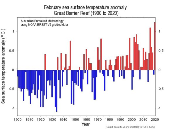 Sea-surface temperatures reached record-high levels on the Great Barrier Reef, topping those in 2016 and 2017 when there was mass coral bleaching.