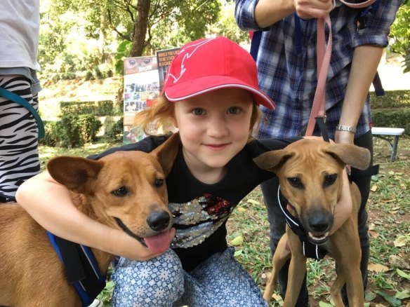 Dogs rescued from the meat markets.