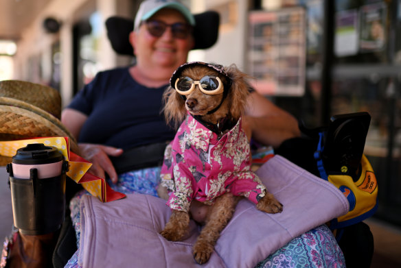 Even dogs get into the dress ups at the Tamworth Country Music Festival.