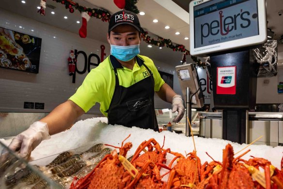 Fresh lobsters on display at the Sydney Fish market, in the lead up to big Christmas seafood sales.