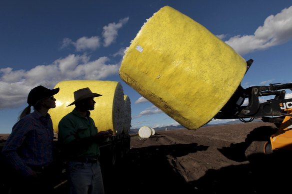 One bill before Parliament and another in the works could put pressure on the Berejiklian government to ban gas and coal mining on the Liverpool Plains.