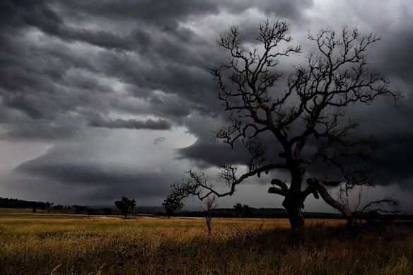 A supercell thunderstorm showing it's unique structure, a supercell is able to separate its rain from its inflow winds and in doing so can be long lived and organised. It can produce large hail, flash flooding, strong winds and tornadoes. Image taken near Dunedoo on Saturday.