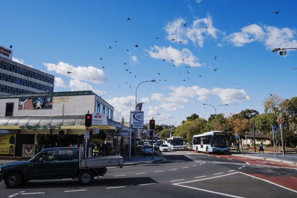 The multicultural food hub of Bankstown in Sydney's south-west.