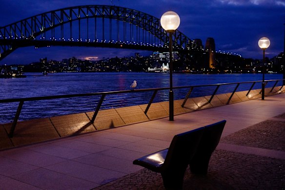 A lone seagull stand guard over Sydney Harbour on day two of a two week lockdown across Sydney due to Coronavirus outbreaks across the city.