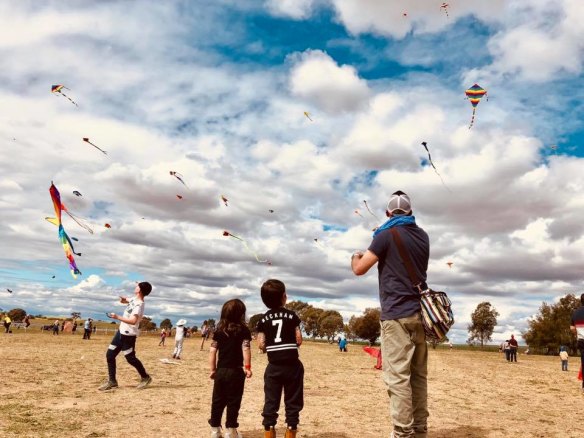 The winning shot from the Harden Kite Festival photo competition last weekend.