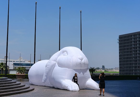 Giant glowing rabbits