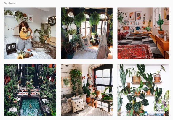 The top #UrbanJungle posts on Instagram.