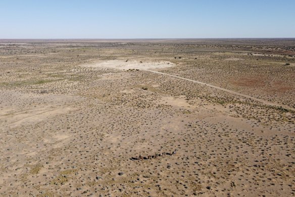 An aerial view as Sophie Matterson leads her five Camels through the South Australian desert near Oodnadatta, Australia. Sophie Matterson, 32, is on a 5,000km journey - walking with five camels coast to coast from Australia's western-most point in Shark Bay, Western Australia, to its eastern-most point in Byron Bay, New South Wales. 