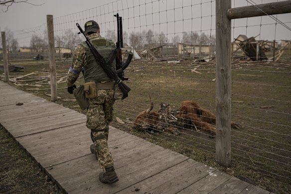 A Ukrainian serviceman walks by an animal which was killed during fighting at a heavily damaged private zoo while soldiers and volunteers attempted to evacuate the surviving animals to safety in the village of Yasnohorodka, on the outskirts of Kyiv. The evacuation was halted before completion as shelling resumed between Russian and Ukrainian forces in the area.