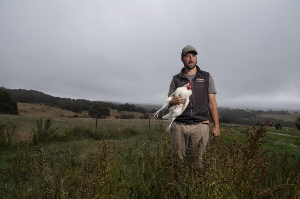 Luke Winder with a Bresse chicken at his Tathra Place Free Range family-run farm, the first in Australia to successfully rear the coveted French bread.