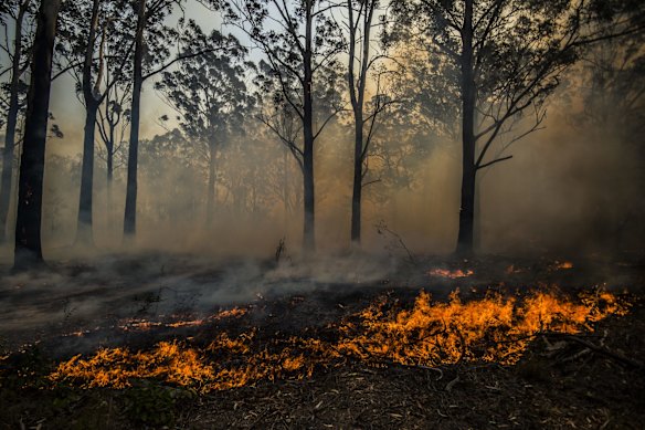 An out of control bushfire impacts properties along Glenthorne Rd, South Taree. 