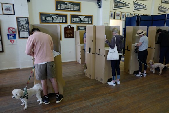 A man with his dog on a lead  votes inside Bondi Surf Bathers Life Saving Club in the electorate of Wentworth in Sydney