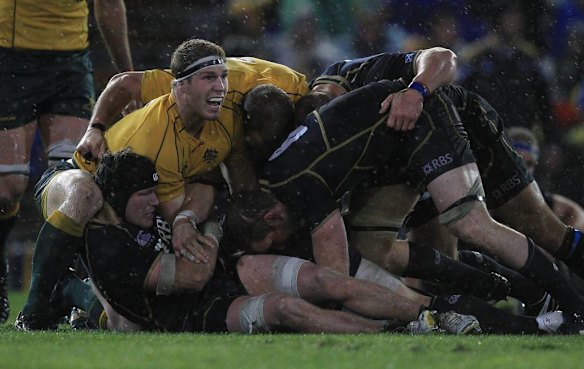 Australia's David Pocock tries to turn the ball over from a Scottish ruck.