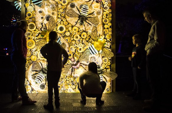 Vivid in the Royal Botanic Gardens.