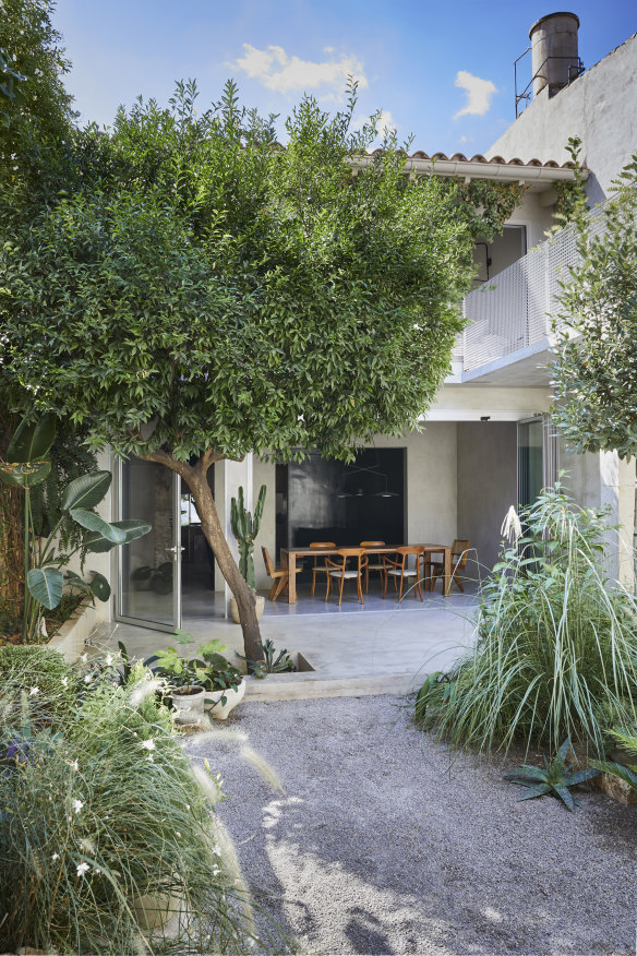 “The old mandarin tree has been here for 60 years, while the rest of the garden is a work in progress,” says Chard. “The house opens up to be a part of the outside.”