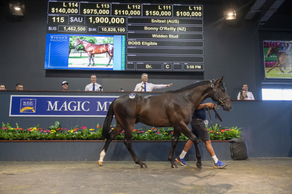 Lot 115, a colt by Snitzel out of  Bonny O'Reilly, was bought by the Coolmore-Chris Waller syndicate for $1.9m on Tuesday.