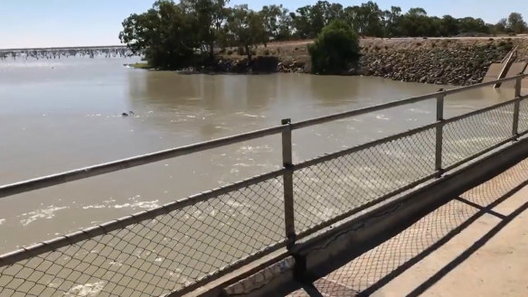 Water flows through into Lake Pamamaroo in the Menindee Lakes system earlier this month. Environmental groups are among those concerned that future flows will be constrained if upstream farmers are licensed to capture more water during floods.