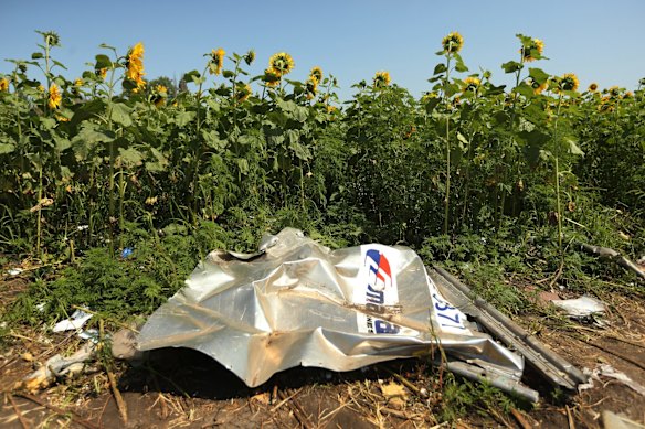 A piece of plane debris at one of the sites where the front section of Malaysian flight MH17 crashed and the pilots bodies were found, on the outskirts of Rassypnoe village in the self proclaimed Donetsk People's Republic, Ukraine. 26th July, 2014. 