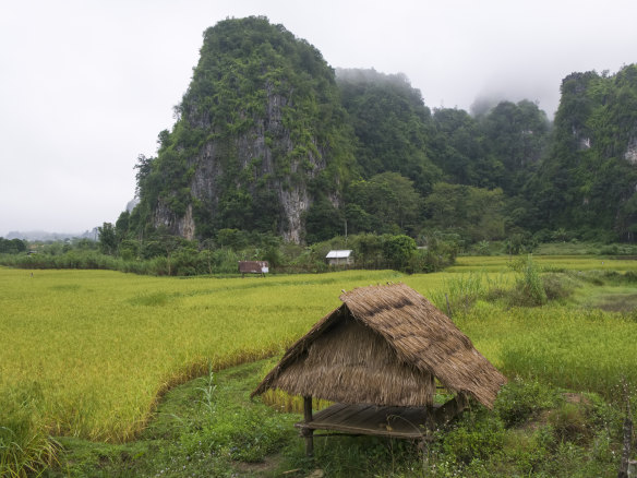 To new arrivals, bungalows nestled between towering misty limestone peaks will constitute an achingly beautiful sight.