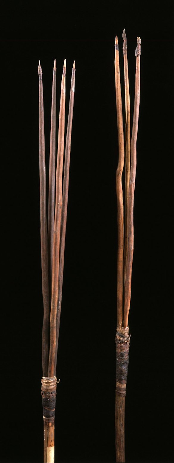 Spears Botany Bay, NSW 1770 Cook Collection, Collected at Botany Bay in April1770. Given to Lord Sandwich, Cook?s patron and later given to Trinity College, Cambridge. These are two of the four spears which have survived of the more than forty spears collected  at Botany Bay in late April 1770. Cambridge University Museum of Archaeology and Anthropology D1914.1-2

