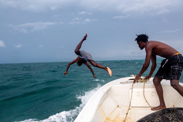 Hunting turtle for the Mabo Day feast.