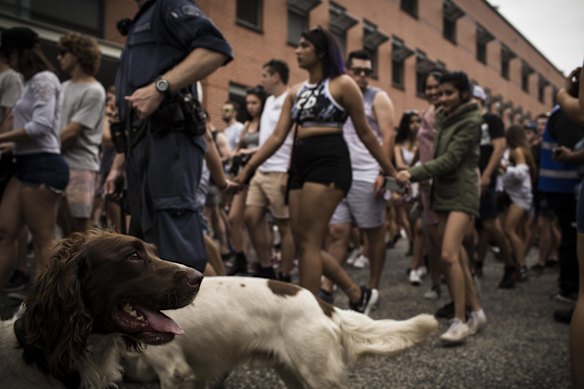 Event-goers gather in Sydney Olympic Park to attend various events such as Stereosonic, Taylor Swift, Aus X Open and the Australian Swimming Championships.