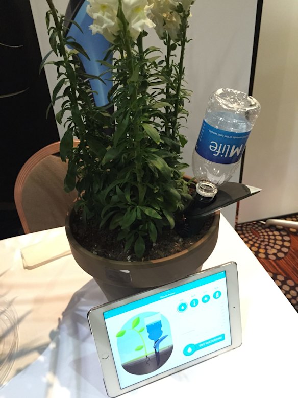 Drone company Parrot has come up with a smart pot and watering system that can keep your plants hydrated automatically while you're away.