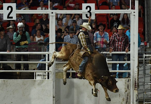 Easter Show Rodeo