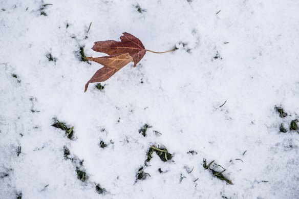 Snow covered ground.