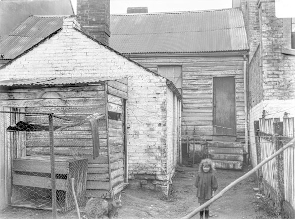 140 Campbell Street, Surry Hills, 1901. A child and kangaroo in the backyard of a small timber semi, owned by Polish-born merchant Adolphus Rogalsky. In May 1901, the occupant wrote to council asking for inspectors to call because the house was getting into a very unsatisfactory condition due to landlord neglect. The inspection was carried out on 8 June and this photograph was taken five days later.
