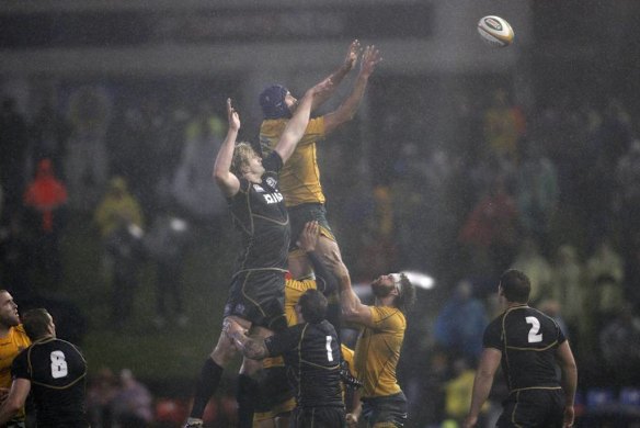 Wallaby Nathan Sharpe and Scotland player Richie Gray contest a line out.