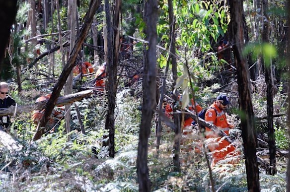 SES crews conduct a line search through the bush land. 