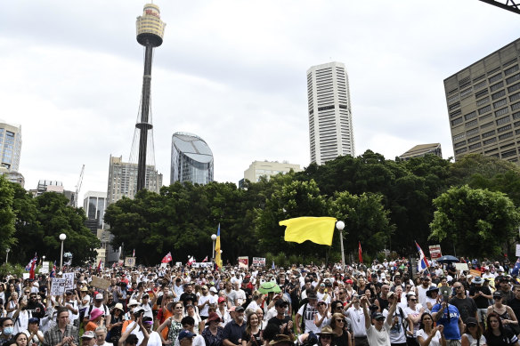 Protestors gathered at Hyde Park heard former Liberal MP Craig Kelly call Novak Djokovic a “political prisoner”.