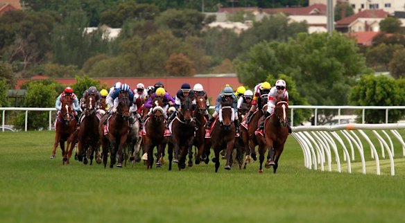The Melbourne Cup field.