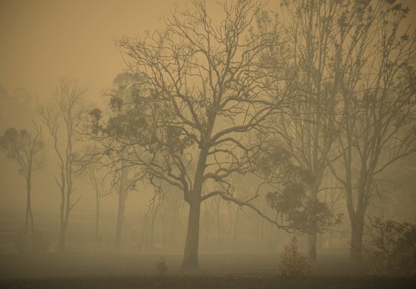 Destruction within the Carrai East fire ground at Willawarrin.