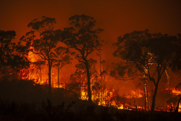 New land-clearing codes will allow farmers to clear as much as 25 metres either side of their fences, according to new codes released over the weekend.
