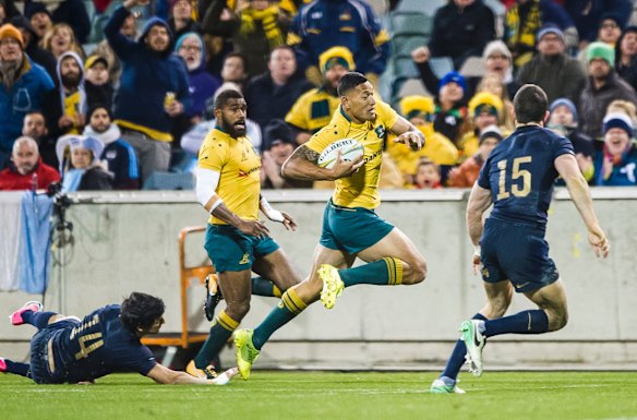 Wallabies fullback Israel Folau sores in the corner during the Rugby Championship's fourth round clash between Australia and Argentina at Canberra Stadium. 