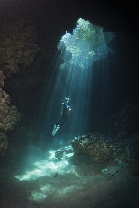 Diving in the Solomon Islands. 