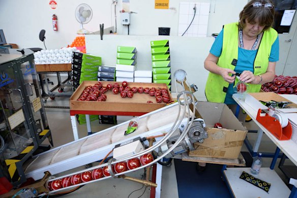 Inside Kookaburra Sport's Cricket Ball Manufacturing Facility