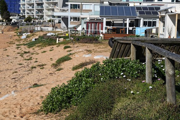 Areas around Collaroy and Narrabeen showing coastal erosion.